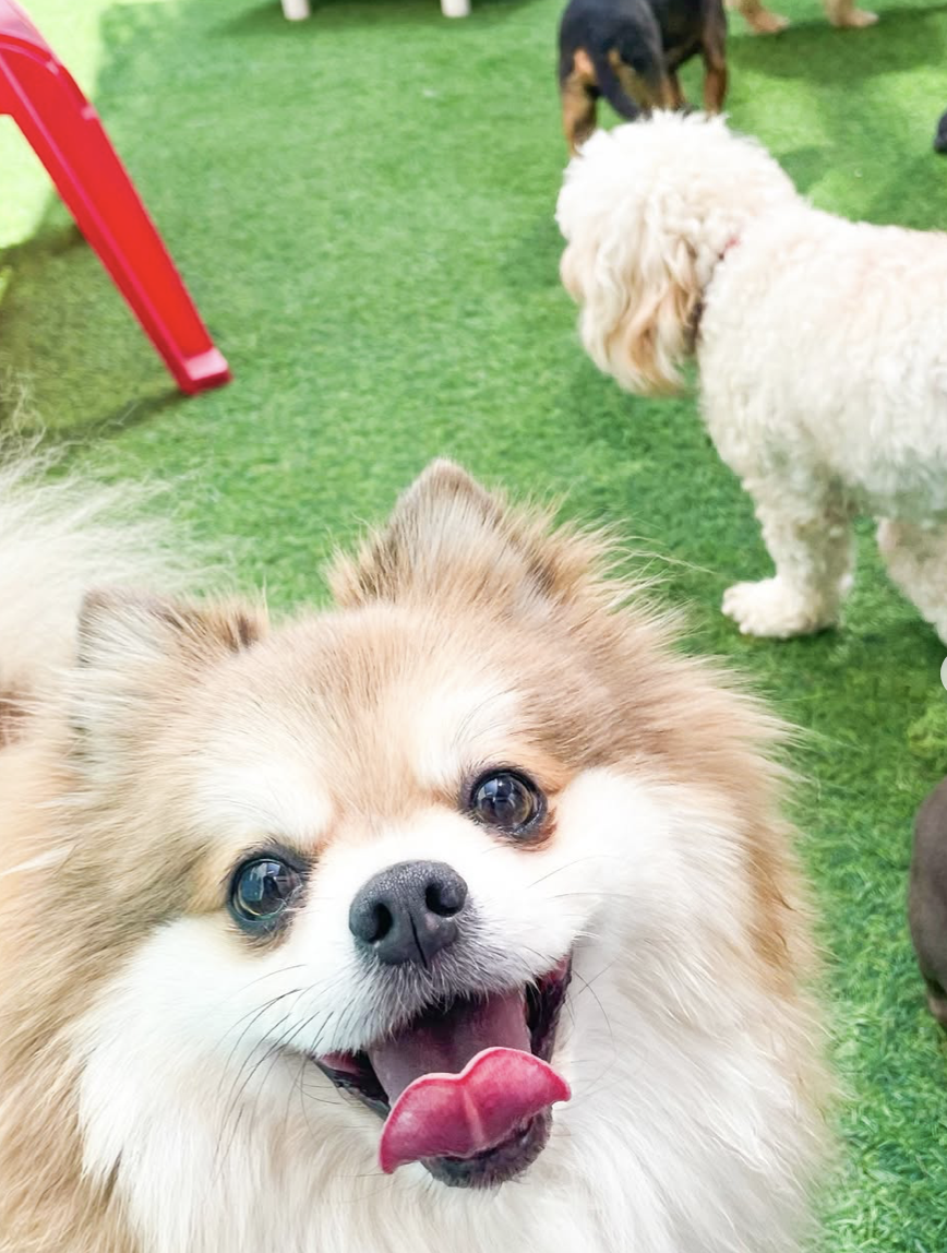 Instagram WUF